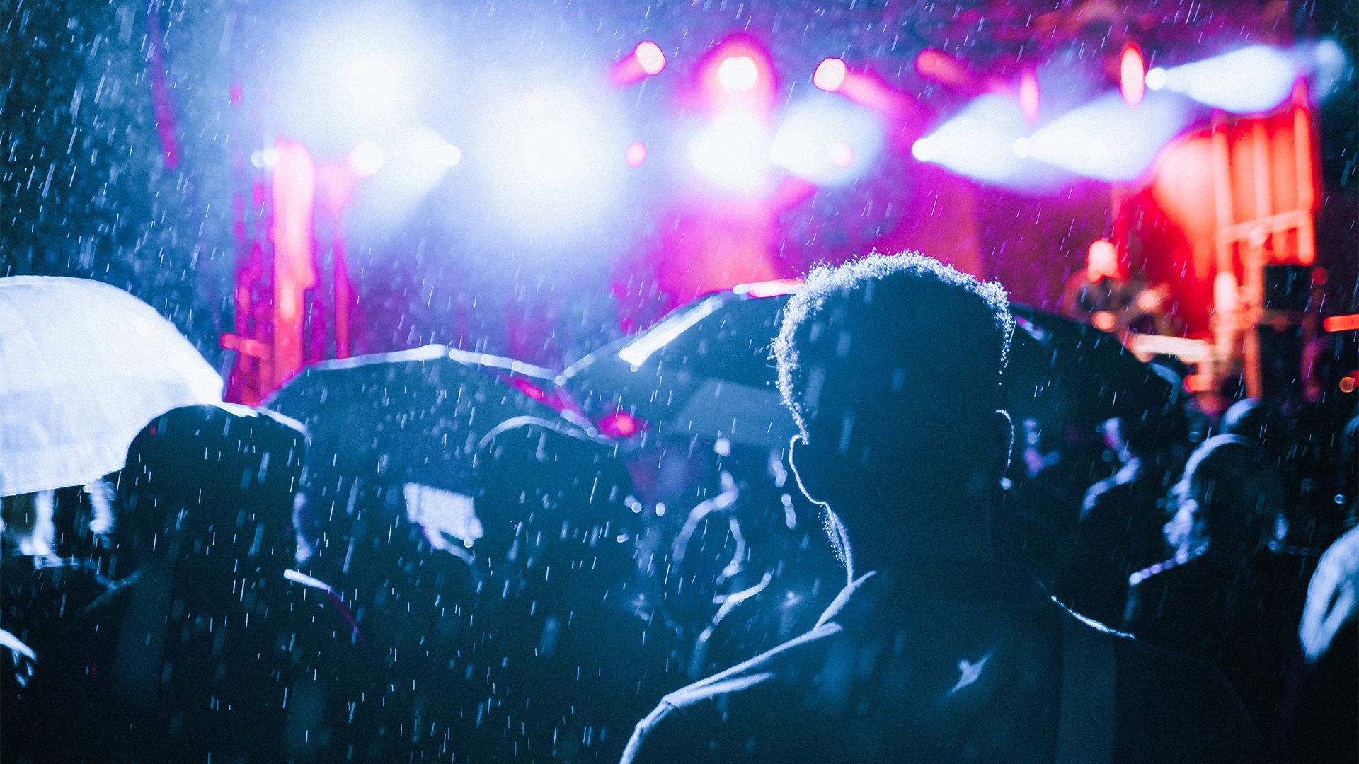 Crowd at a concert at night