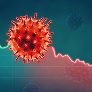 Corona virus